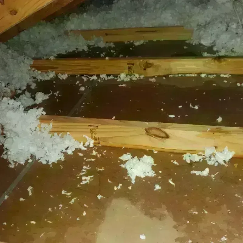 Attic Water Damage in Wayne County, TN